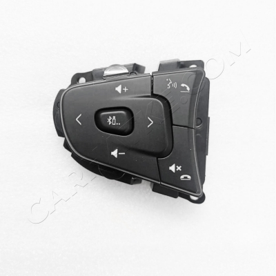 Steering Controls and Buttons for Tata Altroz 2019 Onwards