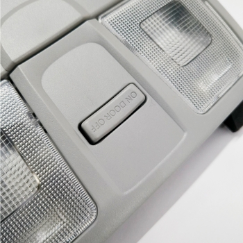 Hyundai Creta 2015-18 OEM Roof Reading Lamp Light - Gray