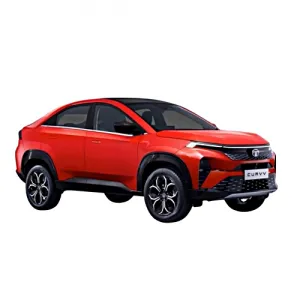 Tata Curvv EV Accessories