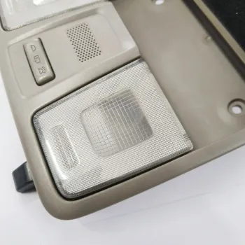 Hyundai Creta 2018-20 OEM Roof Reading Lamp Light - Coffee