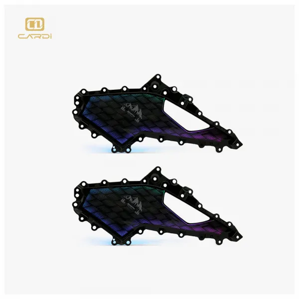 Cardi D16 OEM Ambient Lights for Hyundai Creta 2020 Onwards - 17 Pieces Cardi D16 OEM Ambient Lights for Hyundai Creta 2020 Onwards - 17 Pieces