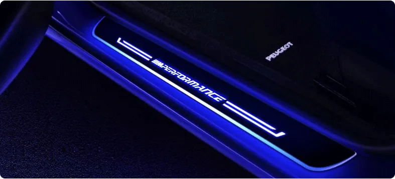 Car led Foot Step Sill Plate Guards